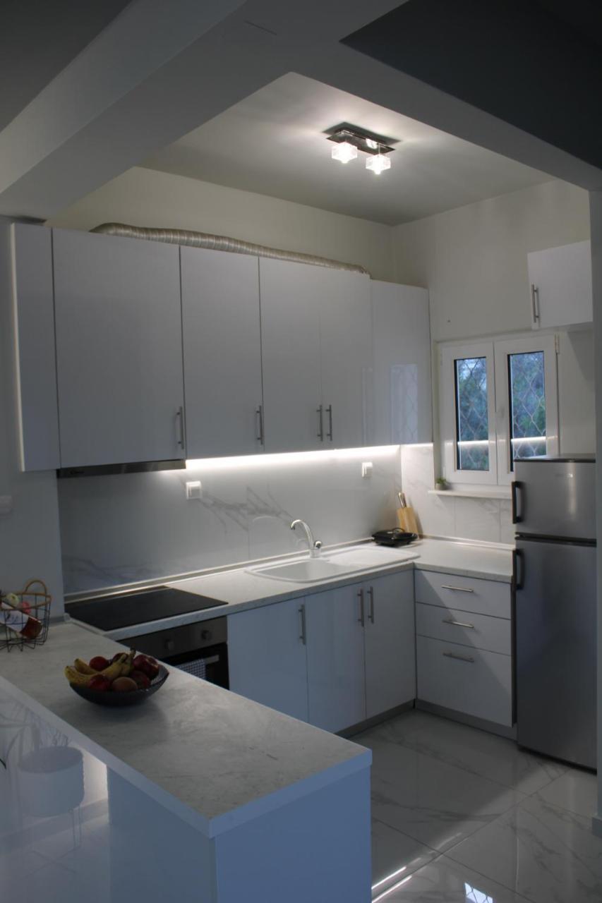 Riviera Penthouse Διαμέρισμα PalaiónTsiflíkion Εξωτερικό φωτογραφία